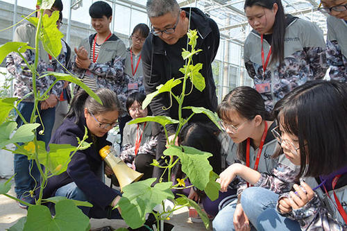 成都市中華衛(wèi)生學(xué)校如何、怎么樣圖2