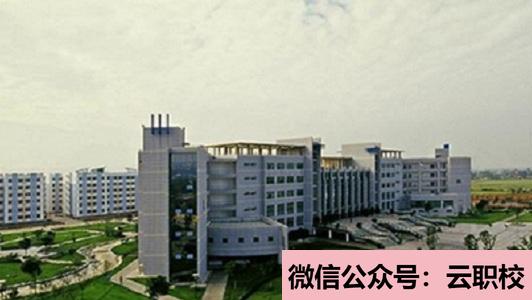 重慶市南丁衛(wèi)生學校報名條件(重慶沙坪壩區(qū)2021年中專衛(wèi)校招生)圖3