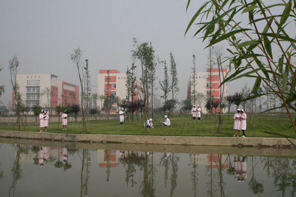 郫縣鐵路衛(wèi)生學校的簡單介紹