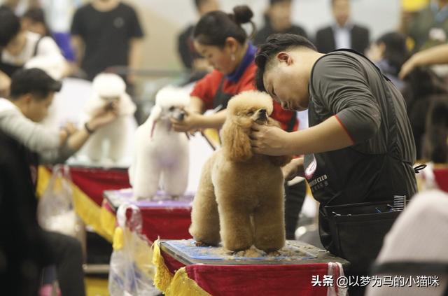 初三女孩適合什么職業(yè)學(xué)校(初三畢業(yè)女孩子讀技校讀什么)