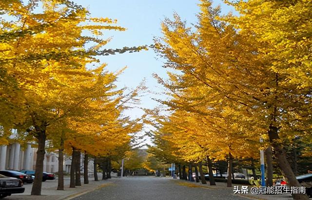 成都職業(yè)高中有哪些公辦學(xué)校(沈陽(yáng)職業(yè)高中公辦學(xué)校有哪些)圖3