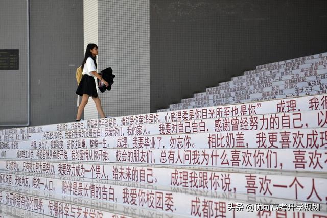 成都藝術(shù)職業(yè)大學(xué)好不好(成都藝術(shù)職業(yè)大學(xué)專升本)圖1