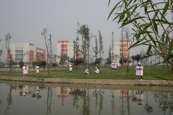 成都公立職高幼師學(xué)校有哪些(成都有幾所公立職高學(xué)校)