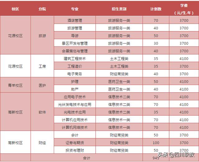 成都職業(yè)技術(shù)學(xué)院介紹(成都工貿(mào)職業(yè)技術(shù)學(xué)院介紹)圖3