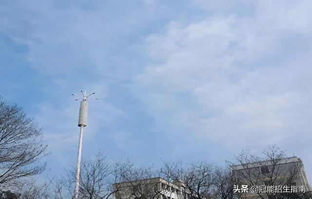 成都空乘學校招生要求(重慶空乘學校招生要求)