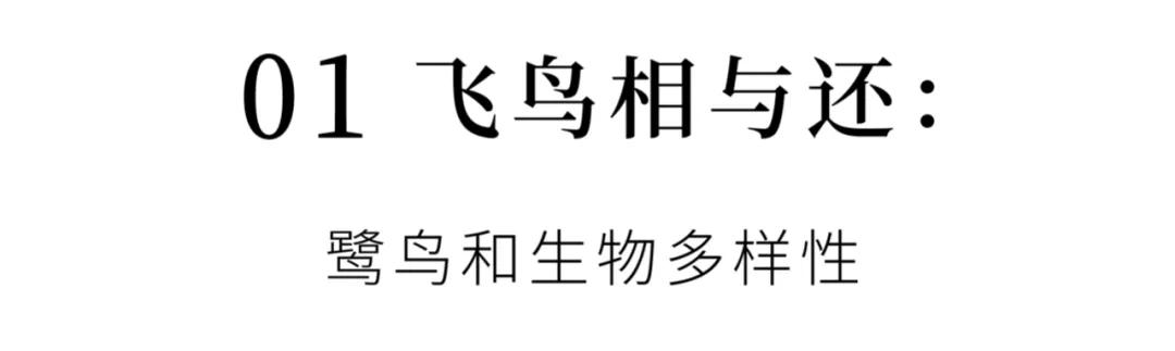 成都希望職業(yè)學(xué)校地址(成都航空職業(yè)學(xué)校地址)