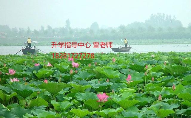 攀枝花市經(jīng)貿(mào)旅游學(xué)校(四川省攀枝花市經(jīng)貿(mào)旅游學(xué)校)